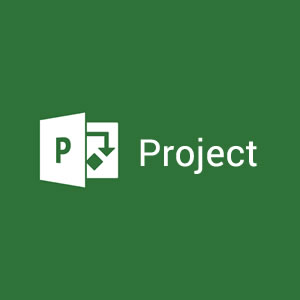 Project Server Repair